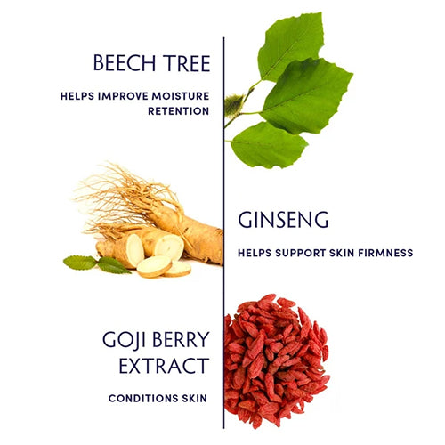 Naturopathica Beech Tree &amp; Ginseng Daily Moisturizer